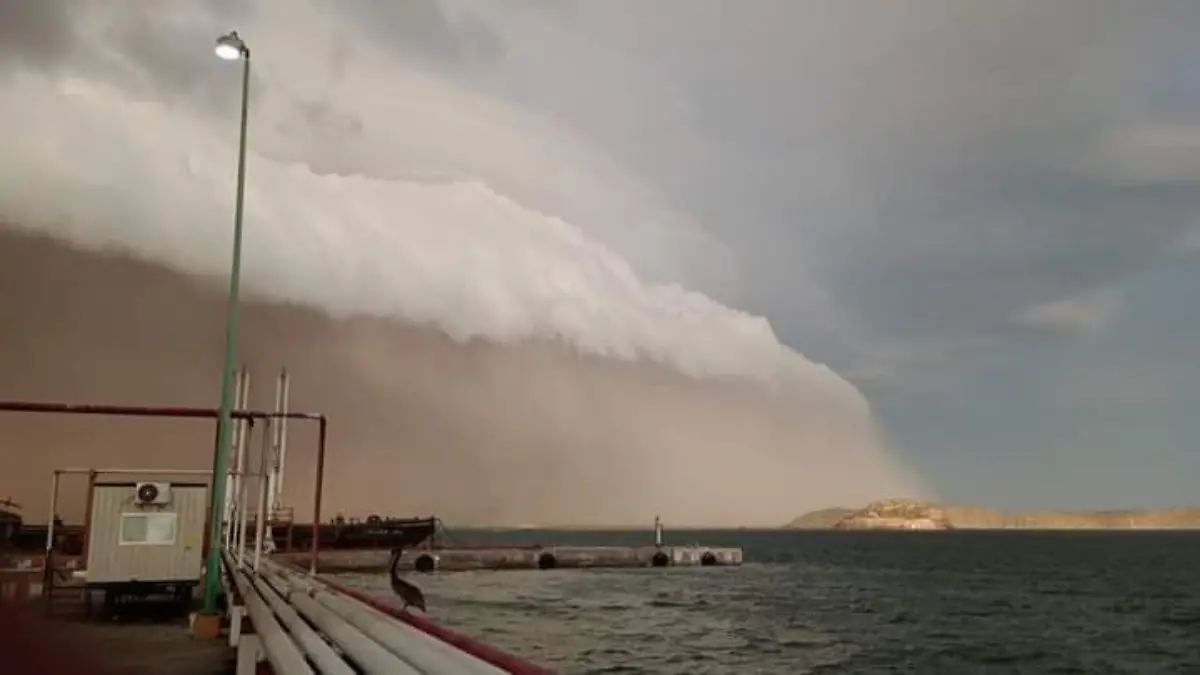 Tormenta de Arena Agueda Barojas